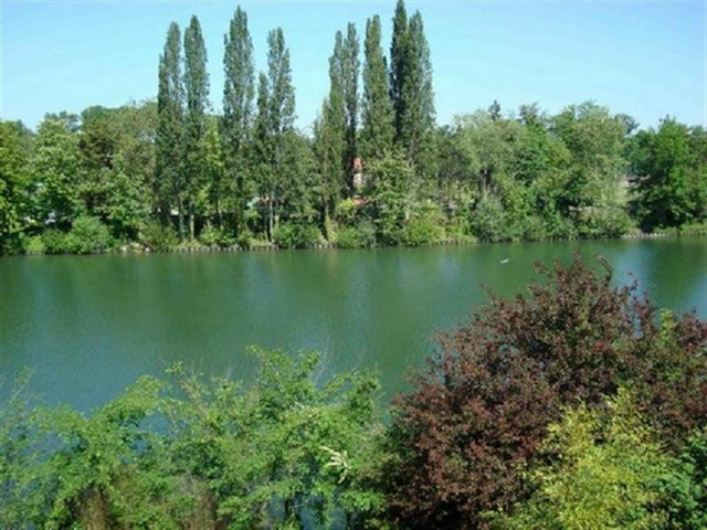 Vente - Bougival - Maison - 350 m² - 1 470 000 €